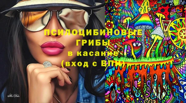 не бодяженный Алексин