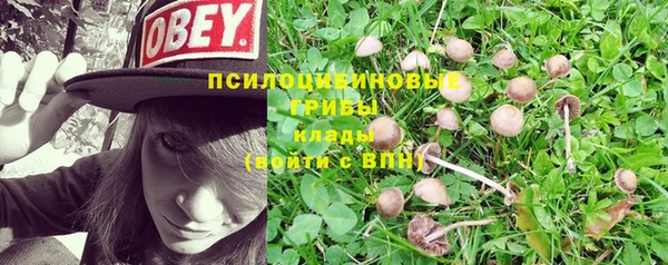 герыч Алексеевка